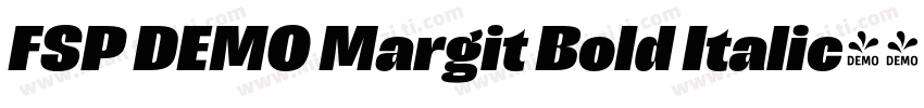 FSP DEMO Margit Bold Italic字体转换
